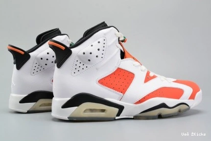 Jordan Retro Breathable Like Gatorade 655 Mike 6 4757 384664- White 0909